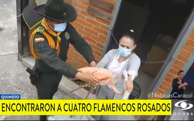 #CRQNacional