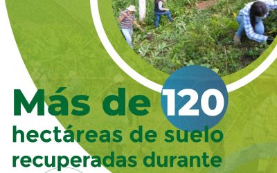 #RendicióndecuentasCRQ