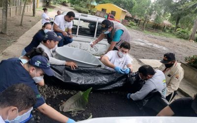 La CRQ entregó las más de dos mil tortugas Hicoteas en Montería