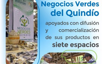 #RendicióndecuentasCRQ
