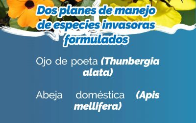 #RendicióndecuentasCRQ