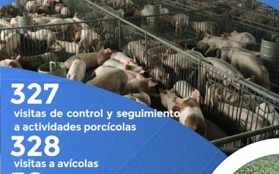 #RendicióndecuentasCRQ
