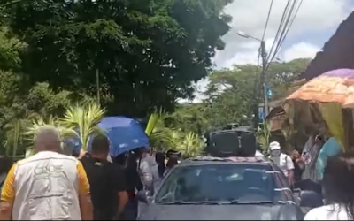 Cero incautaciones de Palma de Cera en el Quindío durante la celebración del Domingo de Ramos