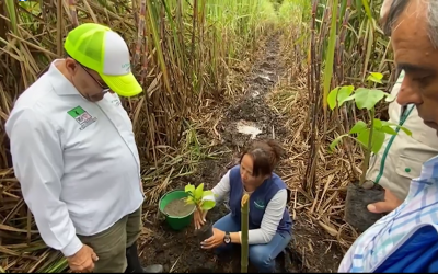 En el marco de la Gran Sembratón que se adelanta en todo el territorio nacional…