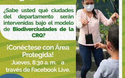 ¡CRQ entidad pionera a nivel nacional en modelo de Biodiverciudades!