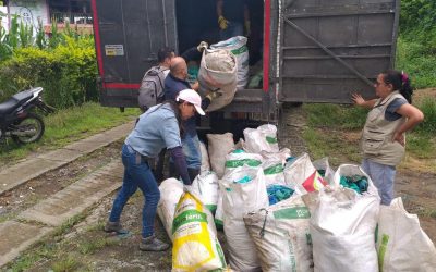 1.5 toneladas fueron recogidas en la jornada de recolección de bolsa de plátano y banano en las veredas Trocaderos…