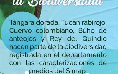 #DíaInternacionalDeLaBiodiversidad
