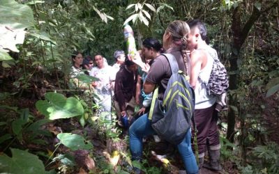 Gestores ambientales de la CRQ realizaron taller de educación e interpretación ambiental en el predio Rincón Santo del municipio de Pijao…