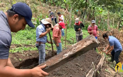 Con el propósito de incentivar la reconversión ambiental de los sistemas productivos presentes en la Reserva Forestal Central del Quindío…