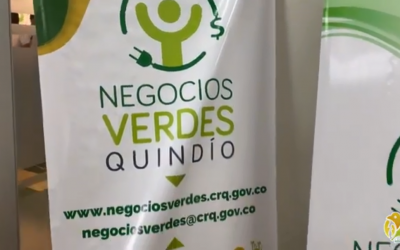 Sector privado del Quindío le aporta a la carbono neutralidad