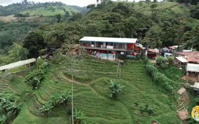 Biofábricas en el Quindío son un hecho. CRQ ha invertido más de 500 millones de pesos