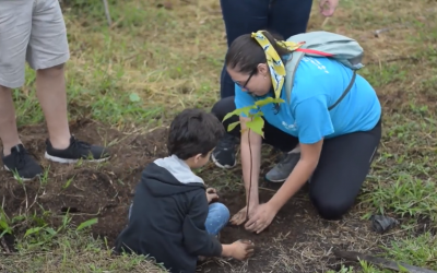 #DíaDelMaestro