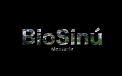 #BioSinú