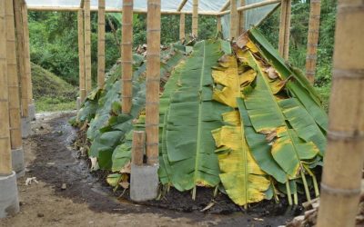 Fábrica de suelos en el Quindío será herramienta para recuperar suelos degradados.