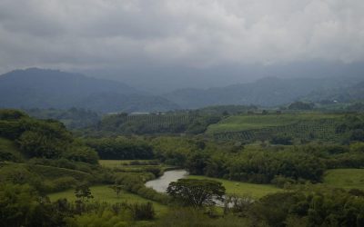 Se está diseñando en el Quindío un mejoramiento vial para reducir más de 30 kilómetros de distancia entre los municipios cordilleranos…