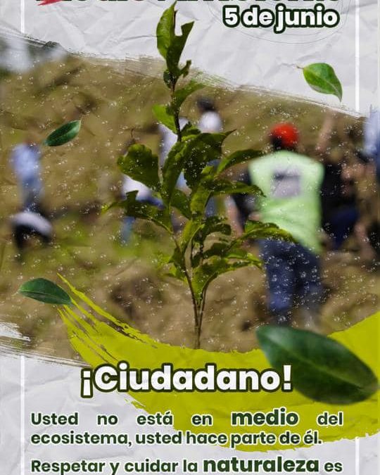 #DíaMundialDelAmbiente