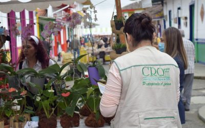 Cerca de 200 personas  participaron de las diferentes actividades que se llevaron acabo esta mañana en el municipio de Salento…