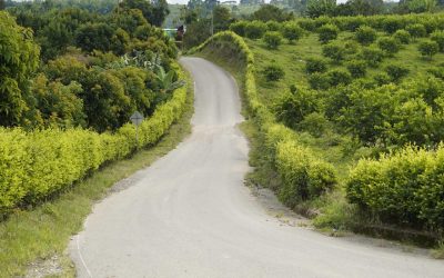 Recorrido desde el sector de La Cristalina hacia Barragán conociendo proyecto de mejoramiento vial