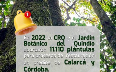 Gestores ambientales del municipio de Pijao en asocio con la alcaldía municipal…