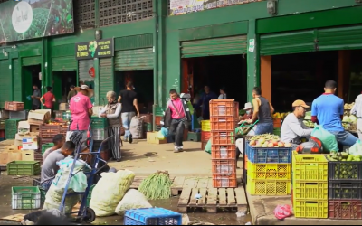 300 toneladas de residuos orgánicos e inorgánicos que se generan en la central mayorista Mercar…