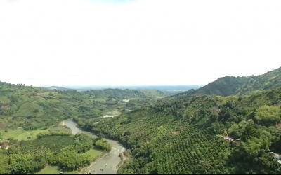 Más de 45 hectáreas de suelos en proceso de degradación han  sido recuperadas en gestiones de la autoridad ambiental.