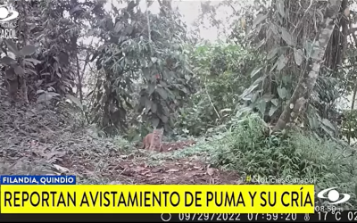 Celebramos que, gracias al esfuerzo de propietarios de predios privados por conservar áreas estratégicas de bosque en el Quindío…