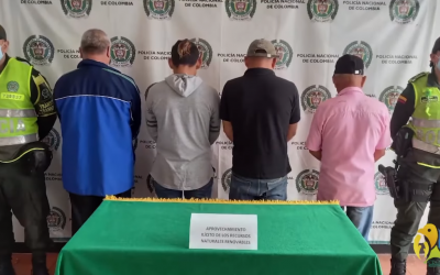 Cuatro capturados por talar un guadual en zona rural de Calarcá.