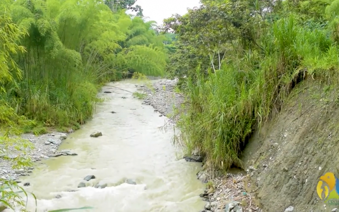 Autoridad ambiental trabaja en mitigar efectos que el manejo inadecuado de suelos y manejo de aguas en el centro…