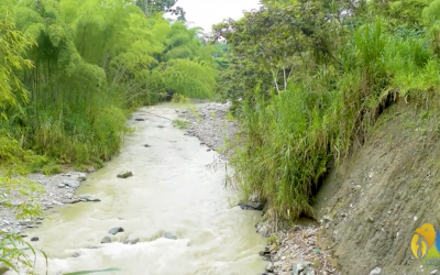 Autoridad ambiental trabaja en mitigar efectos que el manejo inadecuado de suelos y manejo de aguas en el centro…