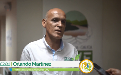 CRQ participó en proyecto de la Fundación Natura para la restauración de bosques en zonas en los cuatro distritos regionales…