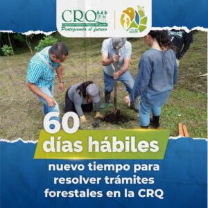 Nuevo tiempo para resolver tramites forestales en la CRQ. Nuevo tiempo para resolver tramites forestales en la CRQ.