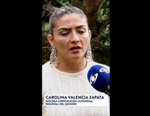 Funcionaria de la CRQ hablando en noticias caracol