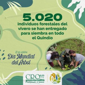 Dia mundial del árbol