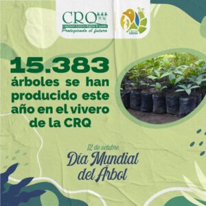 Dia mundial del árbol