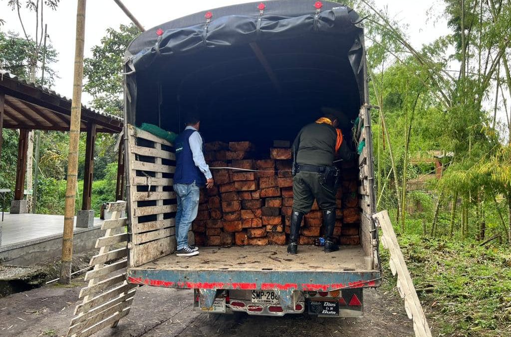 7.227 salvoconductos forestales se han expedido en la CRQ hasta el 31 de octubre