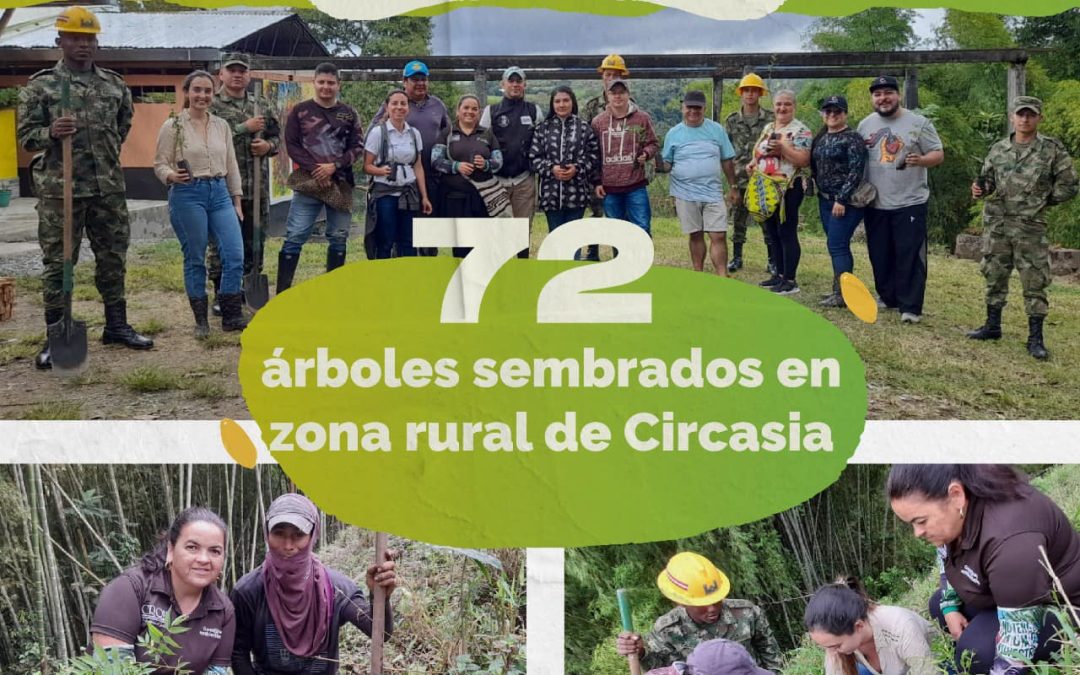 72 arboles sembrados en zona rural de circasia