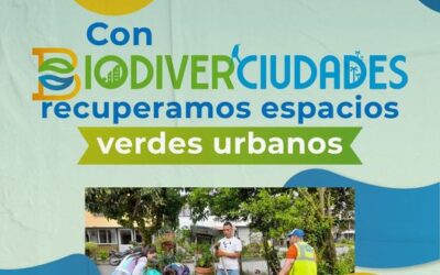 Trabajo en conjunto de la Gobernación y Alcaldía con la CRQ para recuperar espacios urbanos por medio de recolección de residuos y siembra de especies ornamentales y silvestres.