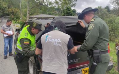 Con control a los vehículos por parte de la oficina de Fauna silvestre y el grupo de Protección Ambiental Ecológica de la Policía Nacional se inspeccionaron los automotores que transitaban por el sector La Playa de Salento.