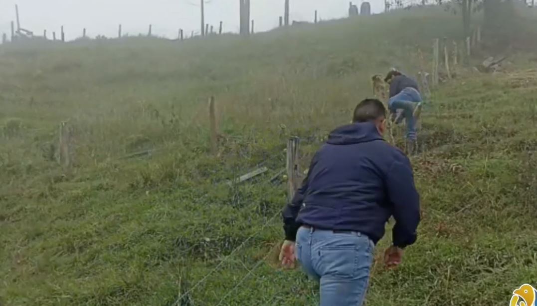 Sedimentación sobre el río Navarco