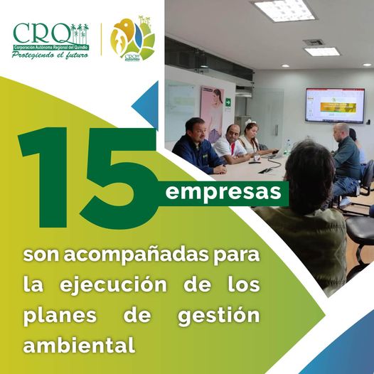 15 empresas