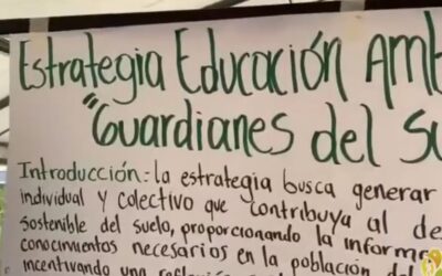 Son nueve líneas estratégicas las que contiene el Plan institucional de educación ambiental con las cuales se logró impactar a los quindianos durante el 2022.