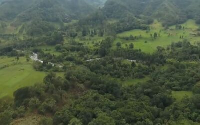 Con herramientas tecnológicas y bioingeniería se ha logrado durante los últimos tres años la recuperación de 170 hectáreas de suelo que sufrían erosión y pérdidas de su capa vegetal.