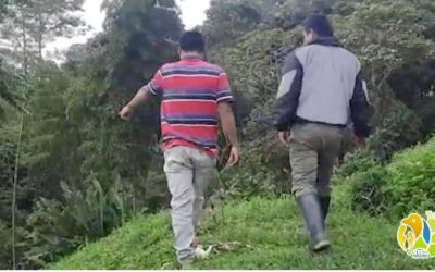 Ocho resguardos indígenas asentados en el Quindío están siendo beneficiados por la autoridad ambiental con procesos de restauración ecológica con especies forestales de protección y especies frutales que fortalecen su seguridad alimentaria.