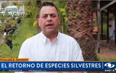 La CRQ con la comunidad protege la fauna silvestre, así lo evidencia el director general, José Manuel Cortés Orozco, en medio nacional donde socializa los avances que se han logrado gracias a la articulación entre la institucionalidad y la población en el departamento del Quindío.