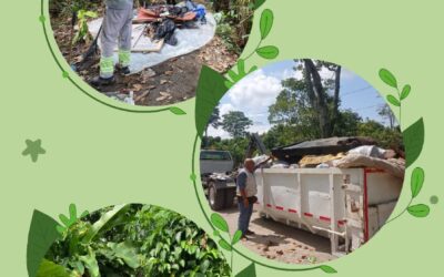 Aproximadamente tres toneladas de residuos inservibles, RCD, ordinarios y aprovechables se recolectaron en el marco de la jornada de limpieza que se realizó en dos puntos críticos en la zona de protección de la quebrada La Jaramilla en La Tebaida, la cual fue liderada por la Administración Municipal y la empresa de Aseo,Urbaser.