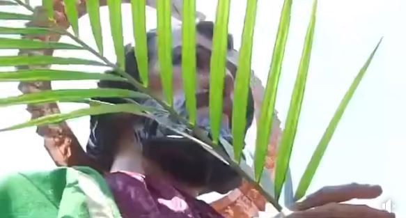 ¿Qué tal si vivimos una Semana Santa en armonía con todas las formas de vida? 🐻 🌴