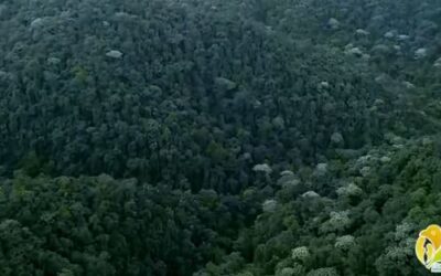 En el marco del Consejo Directivo de la CRQ que se desarrolló en la reserva natural Barbas Bremen, el consejero Carlos Efrén Granada, destacó la disposición de la autoridad ambiental para brindar acciones oportunas que permitan avanzar con la mitigación de la emergencia vial que ocasionó el colapso del puente El Alambrado que comunica los departamentos del Quindío y Valle del Cauca.