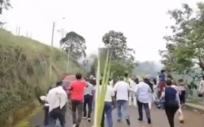 Cero incautaciones de palma de cera durante la celebración del Domingo de Ramos El director general de la CRQ, José Manuel Cortés Orozco, destacó el buen comportamiento que tuvieron los feligreses que acompañaron el primer día de la Semana Mayor.