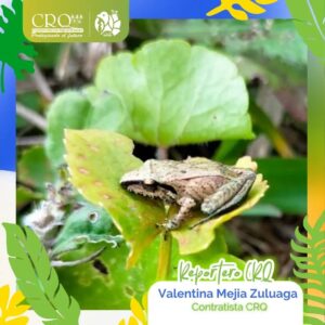 Fauna y flora Quindío