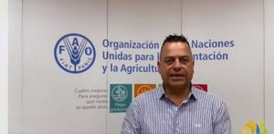 Organización de naciones unidos Organización de naciones unidos